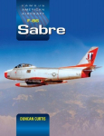 Famous American Aircraft F-86 Sabre