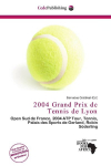 2004 Grand Prix de Tennis de Lyon: Open Sud de France, 2004 ATP Tour, Tennis, Palais des Sports de Gerland,        Robin S&ouml;derling