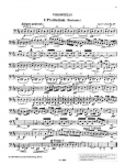 Suite: op. 39. Orchester. Violoncello.