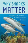 Why Sharks Matter: A Deep Dive with the Worlds Most Misunderstood Predator