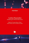 Carbon Nanotubes: Redefining the World of Electronics