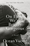 On Earth Were Briefly Gorgeous: A Novel
