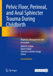 Pelvic Floor, Perineal, and Anal Sphincter Trauma During Childbirth: Diagnosis, Management and Prevention