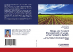 Tillage and Nutrient Management on Maize-wheat Cropping System: Effect of Tillage and Nutrient Management on Productivity, Profitability of Maize-wheat Cropping System