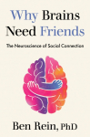 Why Brains Need Friends: The Neuroscience of Social Connection