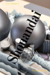 Itsuko Hasegawa. Shonandai - Exposing the World: Everything Without Content 242
