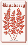 Baneberry
