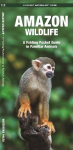 Amazon Wildlife, 2nd Ed: A Folding Pocket Guide to Familiar Animals