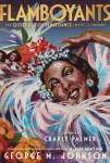 Flamboyants: The Queer Harlem Renaissance I Wish Id Known