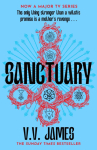Sanctuary: Big Little Lies meets The Crucible in this Sunday Times bestselling dark fantasy thriller - now a major TV series