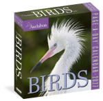 Audubon Birds Page-A-Day&reg; Calendar 2027: The World's Favorite Bird Calendar