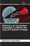 Efficiency of vaccination campaigns in Africa: the case of a district in Niger