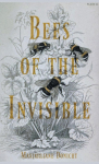 Bees of the Invisible