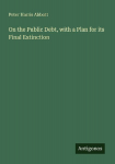 On the Public Debt, with a Plan for its Final Extinction
