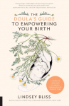 The Doulas Guide to Empowering Your Birth: A Complete Labor and Childbirth Companion for Parents to Be