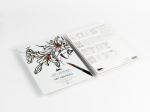 Art Nouveau: Artists' Colouring Book
