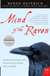 Mind of the Raven: Investigations and Adventures with Wolf-Birds