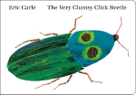 The Very Clumsy Click Beetle
