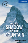 In the Shadow of the Mountain: Level 5, 2.800 W&ouml;rter