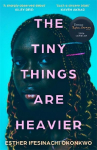 The Tiny Things Are Heavier: Longlisted for the Dylan Thomas Prize 2026