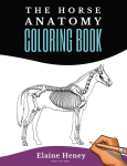 Horse Anatomy Coloring Book For Adults - Self Assessment Equine Coloring Workbook: Test Your Knowledge - For Equestrians & Veterinary Students