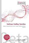 Salinas Valley Samba: Salinas, National Premier Soccer League, American Soccer Pyramid