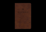 ESV Premium Church Bible, Large Print (Trutone, Brown)