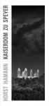 Horst Hamann - Kaiserdom zu Speyer: Vertical Photos - Ausstellungskatalog