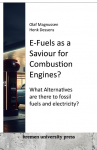 E-Fuels as a Saviour for Combustion Engines?: What Alternatives are there to fossil fuels and electricity?
