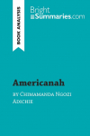 Americanah by Chimamanda Ngozi Adichie (Book Analysis): Detailed Summary, Analysis and Reading Guide