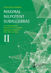 Maximal Nilpotent Subalgebras II: A correspondence theorem within solvable associative algebras. With 242 exercises