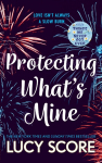 Protecting Whats Mine: the stunning small town love story from the author of Things We Never Got Over
