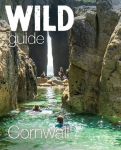 Wild Guide Cornwall: Mini adventures, secret places & local food