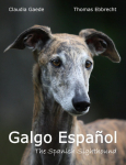 Galgo Espa&ntilde;ol: The Spanish Sighthound