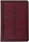 The Passion Translation New Testament (2020 Edition) Giant Print Compact Burgundy: With Psalms, Proverbs, and Song of Songs