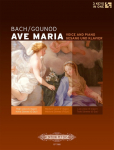 Ave Maria: f&uuml;r Singstimme und Klavier mit optionaler obligater Violine