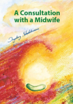 Consultation with a Midwife: A sensitive, natural guidance through pregnancy, childbirth, childbed and breast-feeding