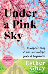 Under a Pink Sky: How Brianna's mother turned tragedy into a fight for a safer future