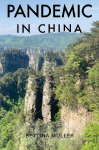 Pandemic in China