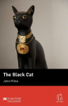 The Black Cat: Lekt&uuml;re mit Code