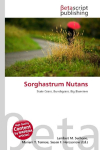 Sorghastrum Nutans: State Grass, Bunchgrass, Big Bluestem