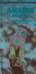 Amazon Wildlife, 2nd Ed: A Folding Pocket Guide to Familiar Animals