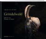 Grindelwald: Naturwunder/Wonder of Nature