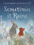 Sometimes It Rains