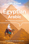 Lonely Planet Egyptian Arabic Phrasebook & Dictionary: Learn Essential Phrases & Vocabulary | 3,500 Word Two-Way Dictionary | Pull-Out Fast Phrases Card | Travel with Confidence