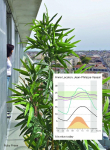 Lacaton & Vassal: Its Nice Today: On Climate, Comfort, and Pleasure