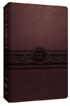 Personal Size Large Print Bible-Mev
