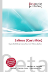 Salinas (Castrill&oacute;n): Bayas (Castrill&oacute;n), Laspra, Naveces, Pillarno, Quilo&ntilde;o