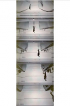 Peter Fischli. Addition, Subtraction, Multiplication: Ausst. Kat. LUMA, Arles u. Pinacoteca Agnelli, Turin