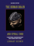 The Human Brain and Spinal Cord: Functional Neuroanatomy and Dissection Guide